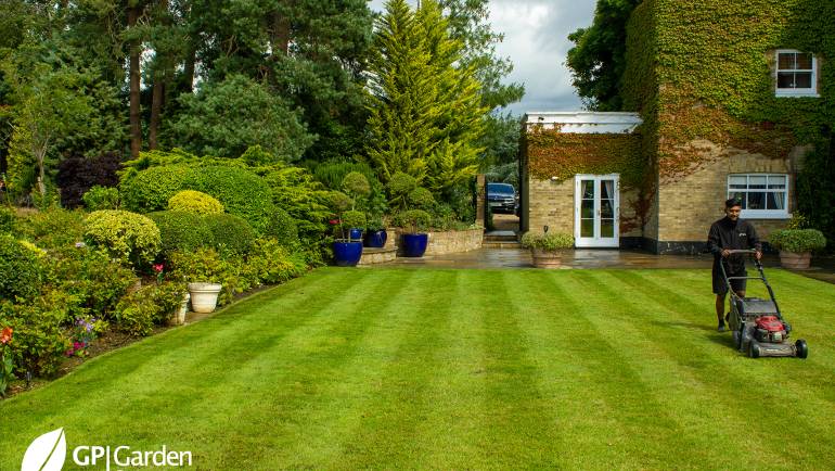 August Gardening Tips for Your Garden