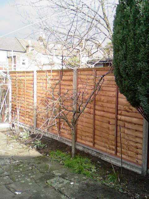 Fence-17.jpg