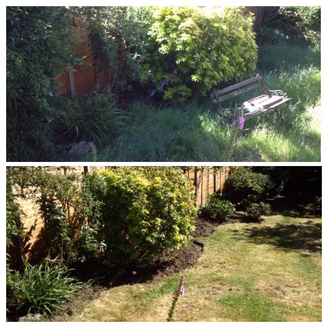 Garden-Tidies-Enfield-3.jpg