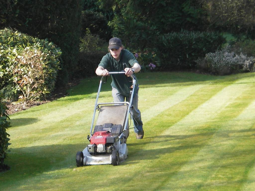 Gardener-at-work-2-1.jpg