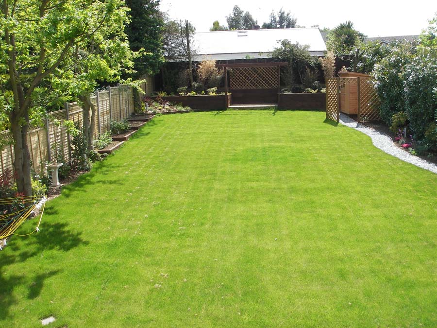 Lawn-care-in-Enfield-8.jpg