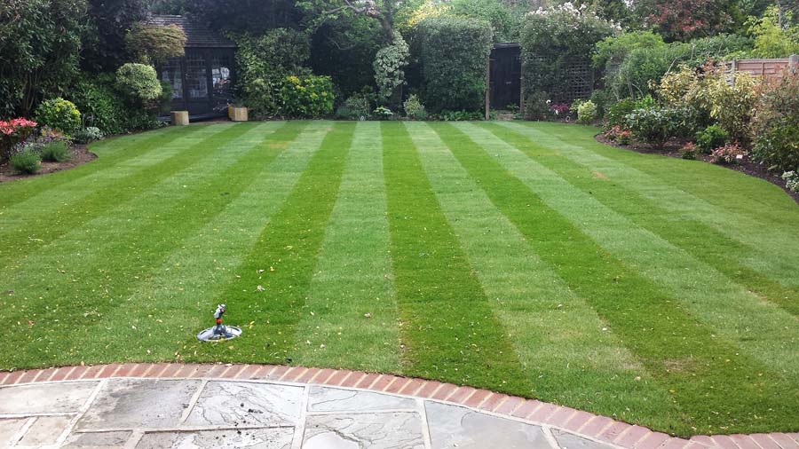 Lawn-care-in-Enfield.jpg