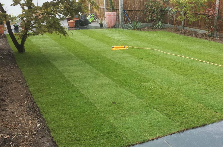 Lawns-in-enfield.jpg