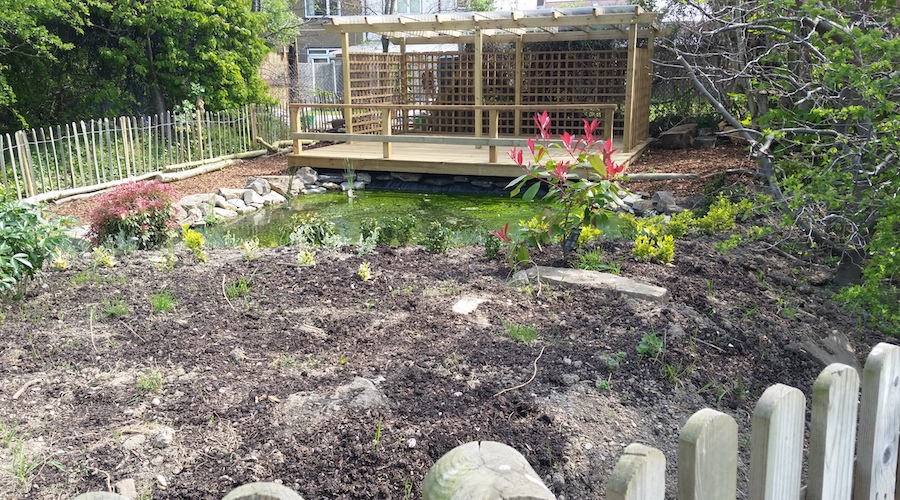 Pond-maintenance-enfield-2.jpg