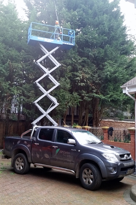 Scissor-Lift-and-very-high-hedge.jpg