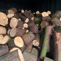 logs-3.jpg