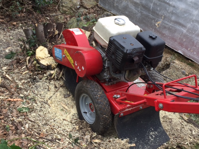 removing-tree-stumps-enfield-1.jpg