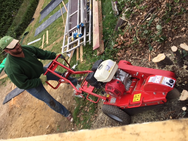 removing-tree-stumps-enfield.jpg