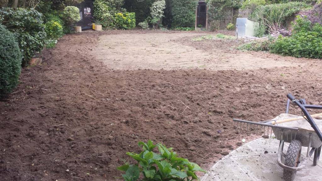 Lawns-in-Enfield05_162105.jpg