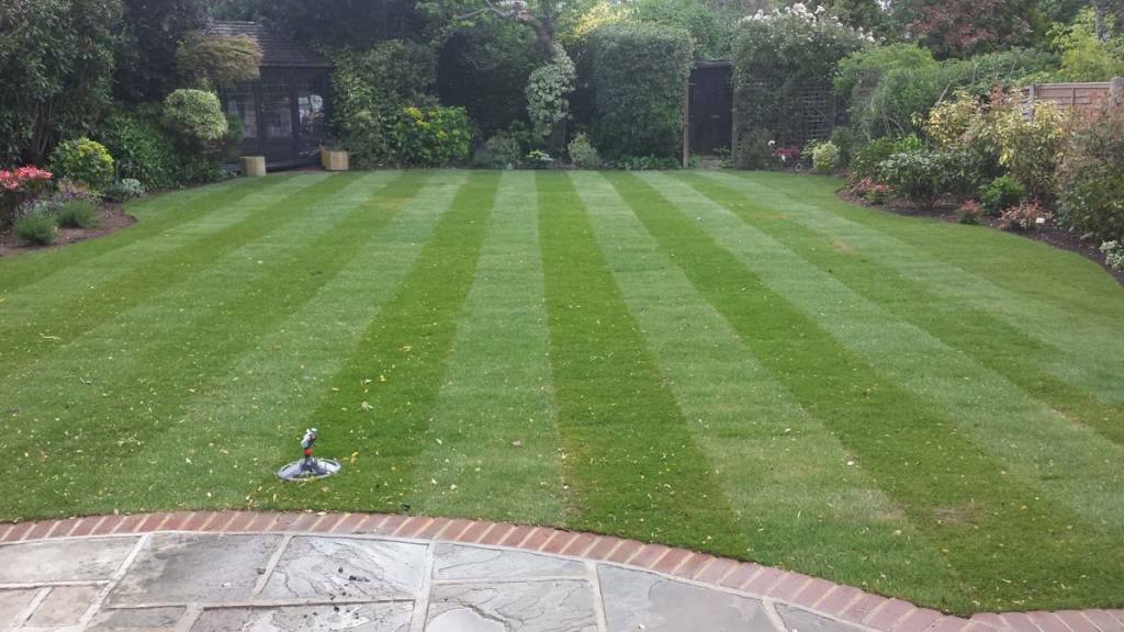 Lawns-in-Enfield12_161424-1.jpg