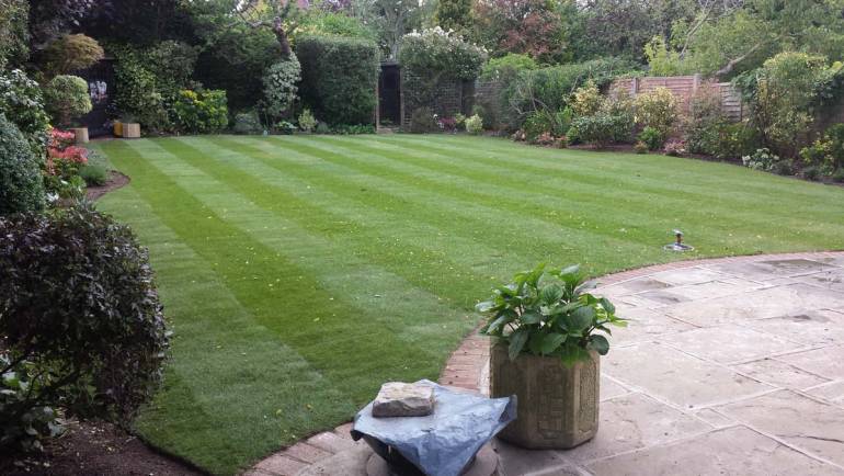 Big Lawn and Planting