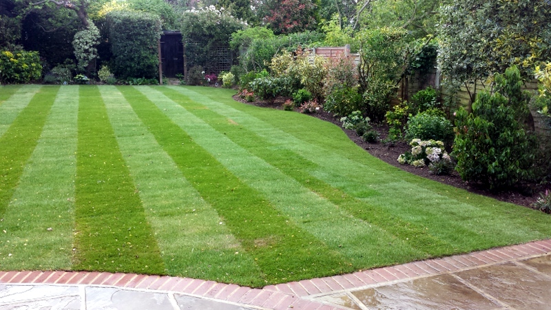 A new lawn and spruce up
