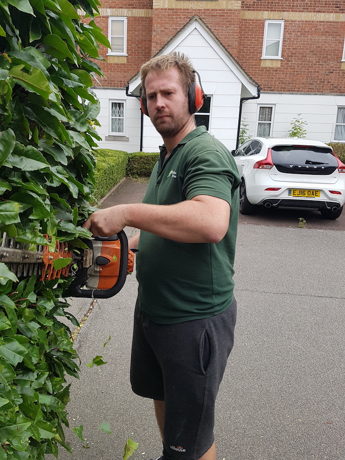 hedges-in-enfuekd.jpg