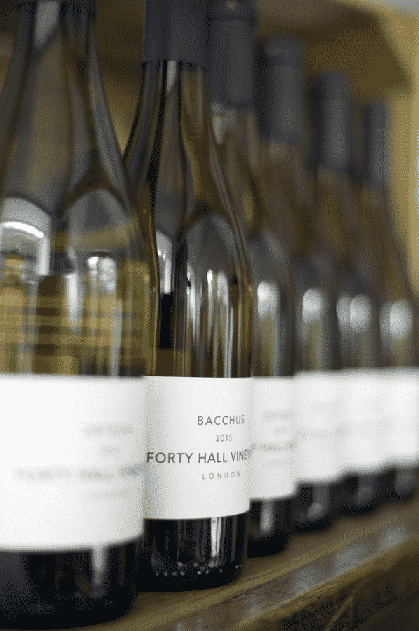 Harvest Time – Local Wine
