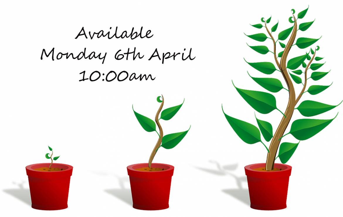 Sapling-launch.jpg