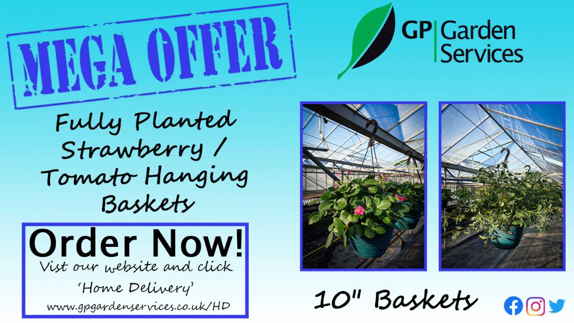 Fruit-Hanging-baskets.jpg