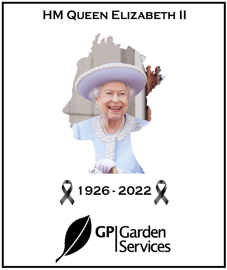 Queen-Death.png